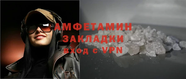 стаф Алзамай