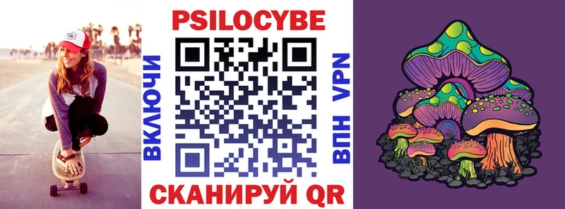 Псилоцибиновые грибы Psilocybe  Сорск 